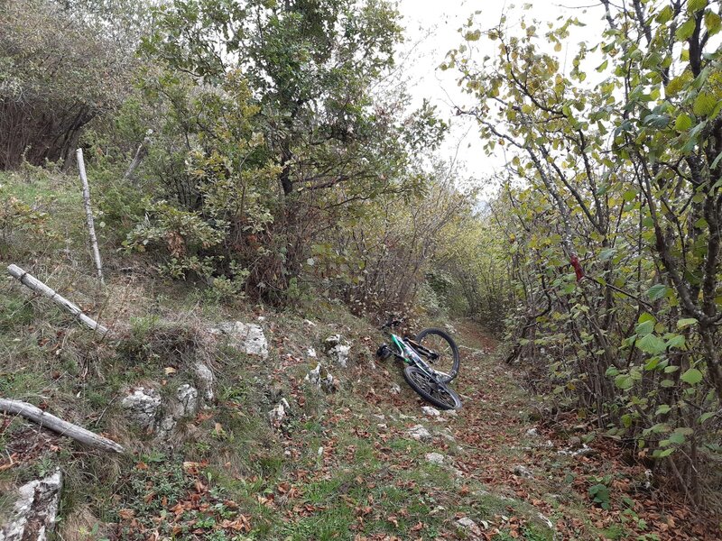 In the bushes between the meadows The Upper Valdabin Trail is a singletrack and well free-cutted.