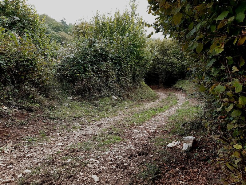 The lower part of the steep "Doubletrack to Malga Valdabin di Sopra"