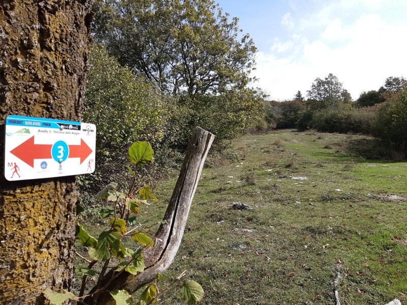 Some signs like this are putted up beside the bad visible trail "Alpin pastures of La Pra"