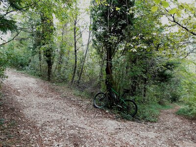 At the eastern slope of Monte Canforal (right the upper end of the short and rocky singletrack "Val, Monte-Cnforal-Connector")
