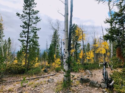 Some nice old school singletrack .. and extra fun on a gravel bike