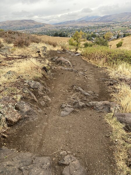 Small section of interesting trail