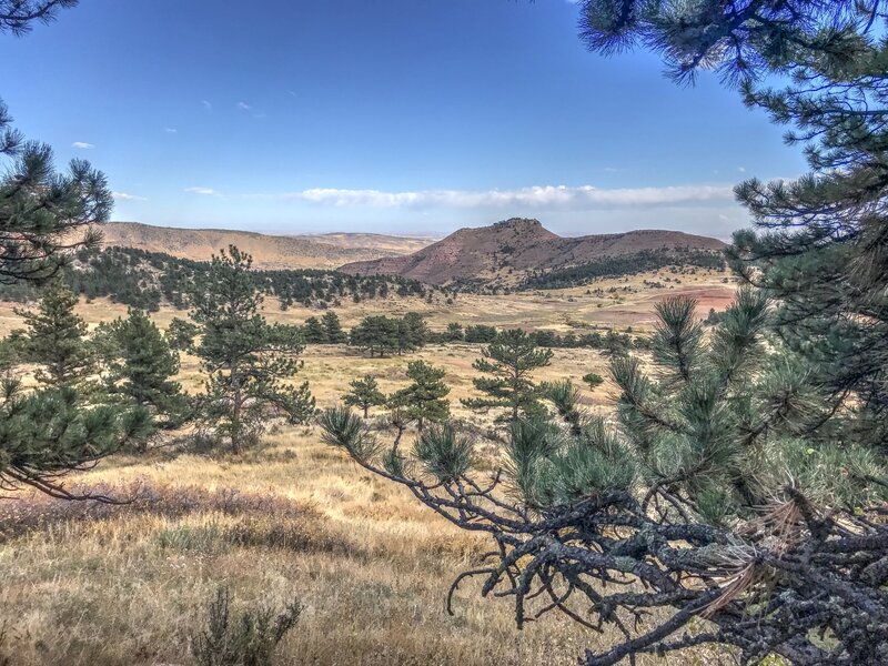 Looking NE past the bench at the beginning of Nelson Loop