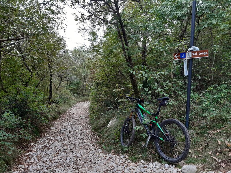 Typical plebblestone-ground of "Val Longa"-Trail