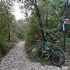 Typical plebblestone-ground of "Val Longa"-Trail