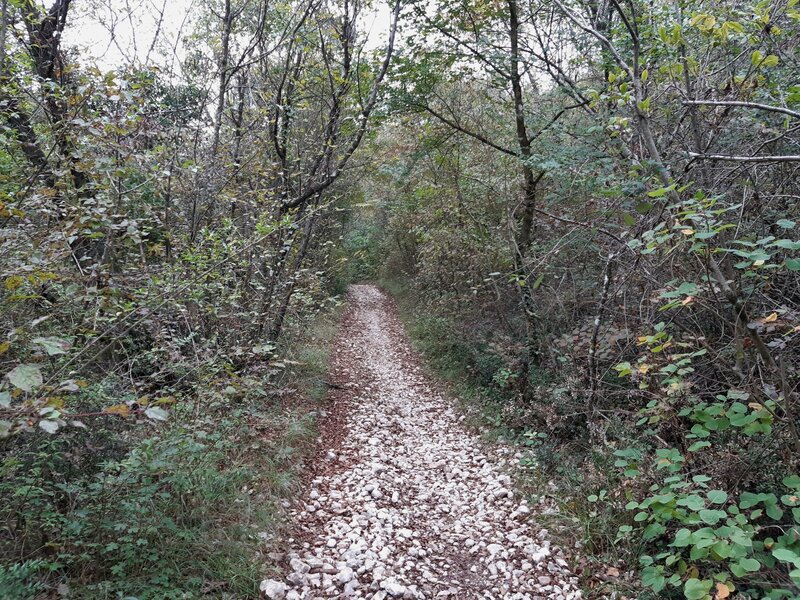 Typical plebblestone-ground of "Val Longa"-Trail