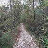 Typical plebblestone-ground of "Val Longa"-Trail