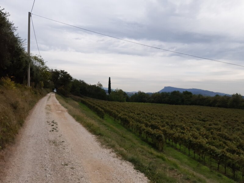 Nice views at the southern slope of Monte Bran (Virle-Pigmoi-Doubletrack)