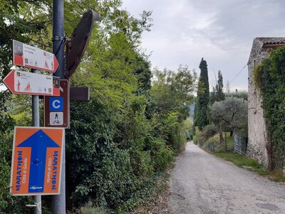 Via Pignoi, a small paved road at the lower end of "Pignoi Singletrack"