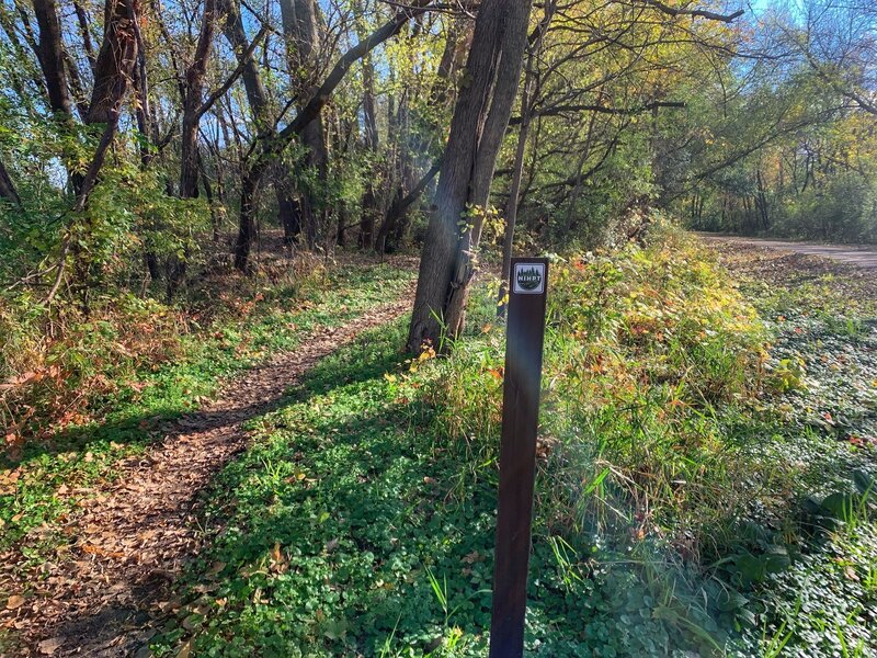 An sample of MacNider singletrack & NIHPT trail marker post.