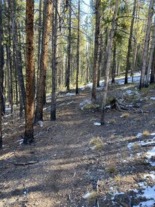 A nice maintained trail