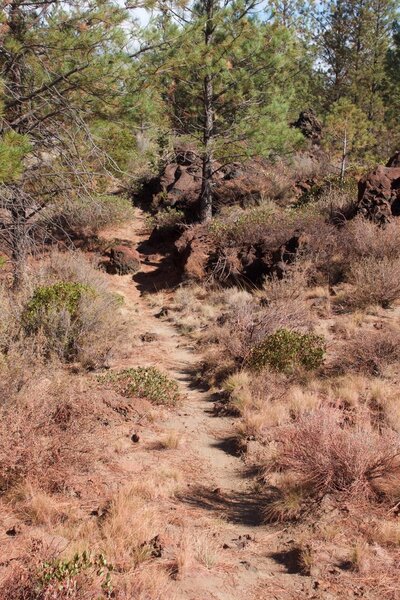 looking north on trail that has some red fire retardant