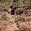 looking north on trail that has some red fire retardant