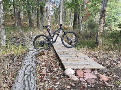 Wildcat mountain online bike