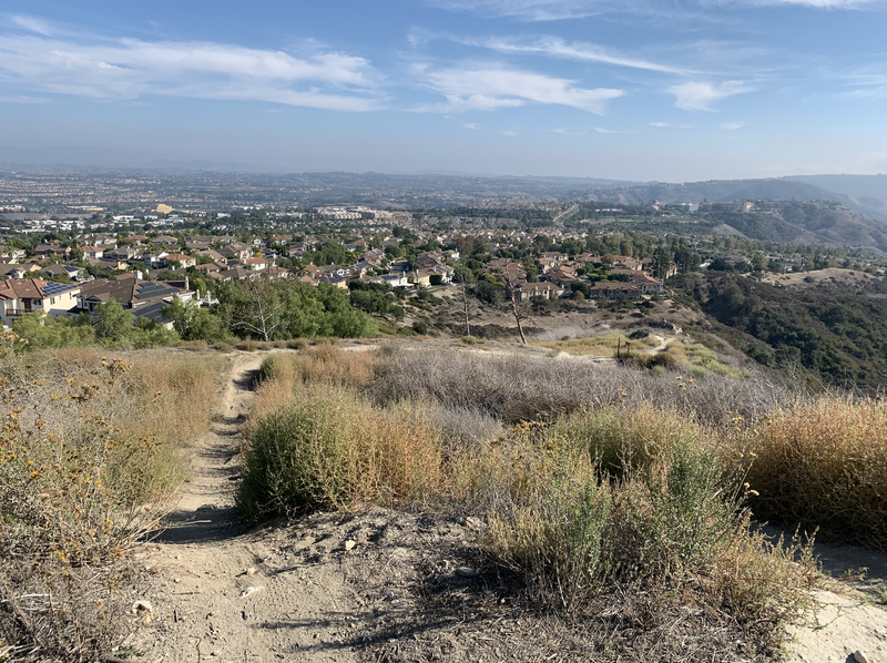 Top of 5 Oaks by the 2 water towers