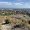 Top of 5 Oaks by the 2 water towers