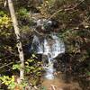 Ward Creek Waterfall, F.S. 42.2