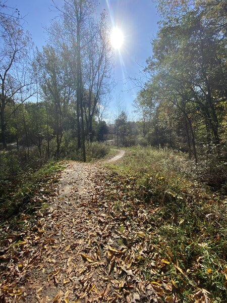 Red loop trail