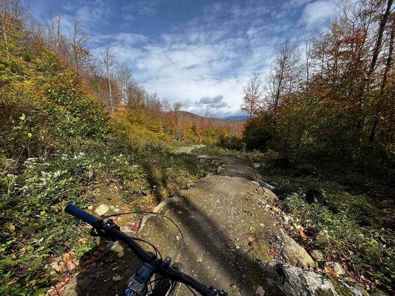 Bobcat Pass