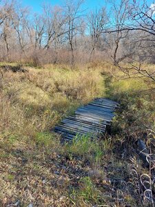 Thank goodness for steel beams :P