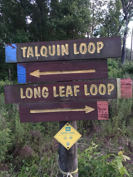 Intersection of the Talquin and Longleaf Loops