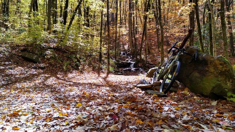 Small waterfall at the end of the well-maintained section of Sugar Creek Gap road.