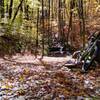 Small waterfall at the end of the well-maintained section of Sugar Creek Gap road.