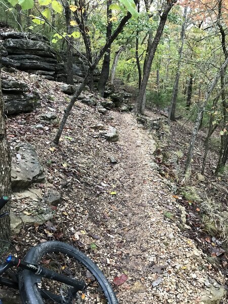 Karst trail ledge