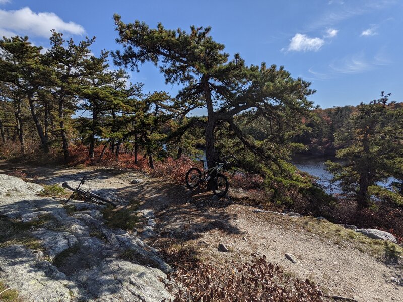 Lake Awosting Trail.  Tough for a road bike, fine for MTB or Gravel bike