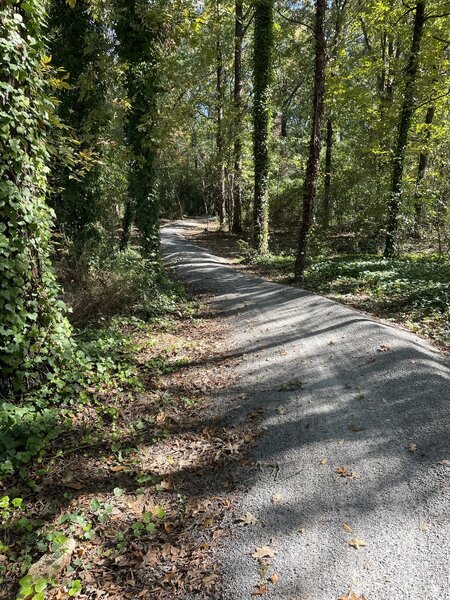 section of the flow trail at Pompe Park