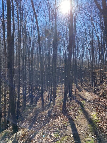 Fun trail in one of the valleys.