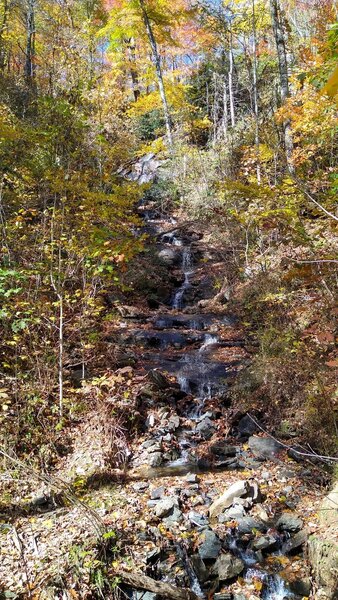 Log Hollow Falls on Seniard Ridge Rd.