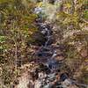 Log Hollow Falls on Seniard Ridge Rd.