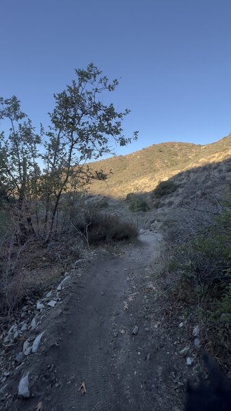 The bottom of Haines canyon. This is right as you drop into the jump line. The burms and jumps have all been recently cleaned up (11/08/21), and a few new features have been added