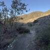 The bottom of Haines canyon. This is right as you drop into the jump line. The burms and jumps have all been recently cleaned up (11/08/21), and a few new features have been added