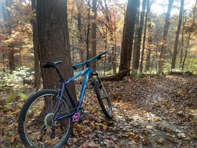 Just early on cool ranch/yellow loop