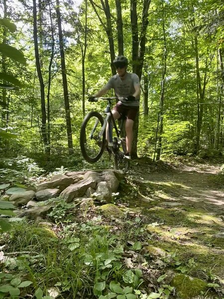 Small rock garden jump