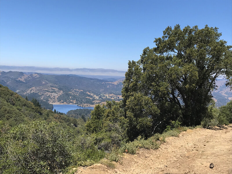 On the North side of Tam - looking towards Alpine Lake..