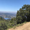 On the North side of Tam - looking towards Alpine Lake..