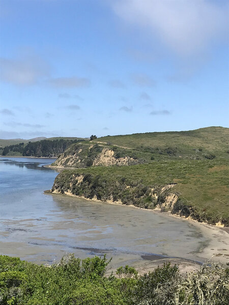 Looking back at Estero & the cliffs. Sea Lions below.