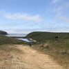 End of the road - Sunset Beach ahead + Cows.