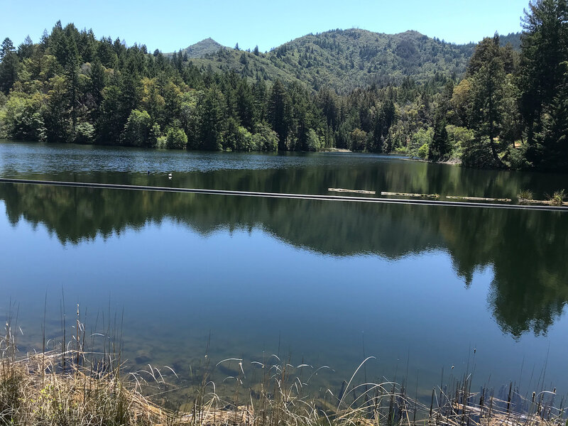 Lake Lagunitas w/ Tam in the background.