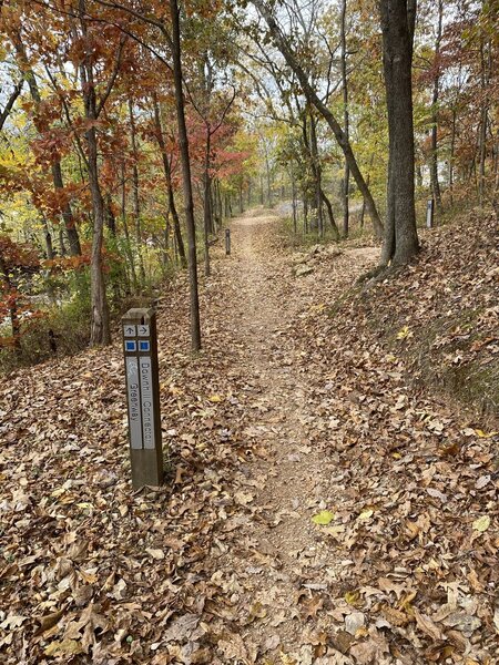 This way to :( Greenway