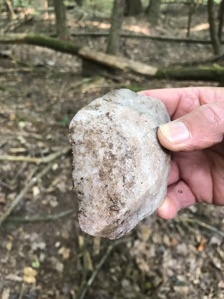 Native American tool lost in their travels through the Delaney Woods many years ago