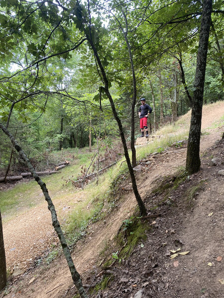 Looking down the drop on "Gravity Falks"