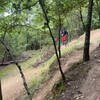 Looking down the drop on "Gravity Falks"