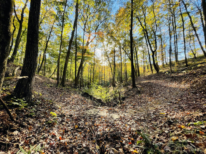 The Wayne National Forest is especially scenic on Gorges Curves