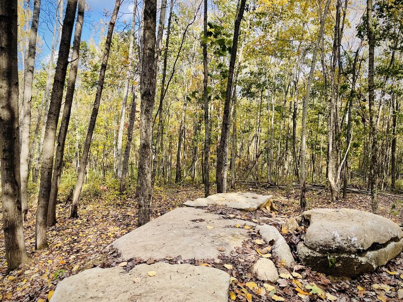 The Underground features exciting rock gardens