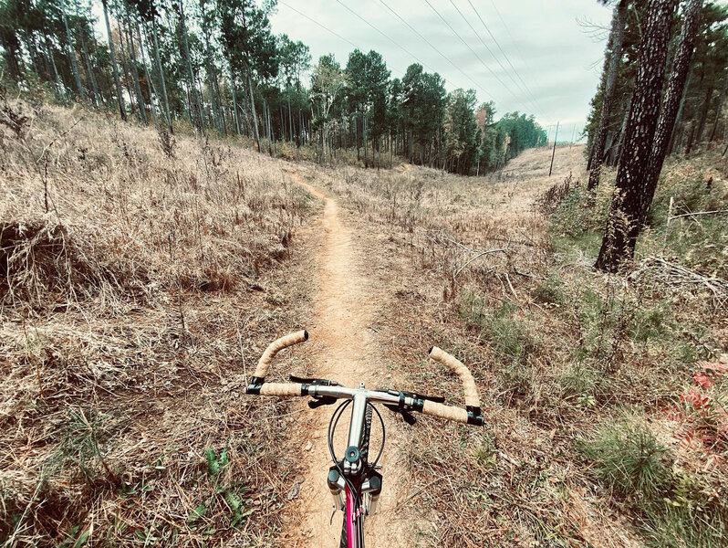 I wouldn't recommend riding this trail with no suspension, but the trail was so much fun anyways :)