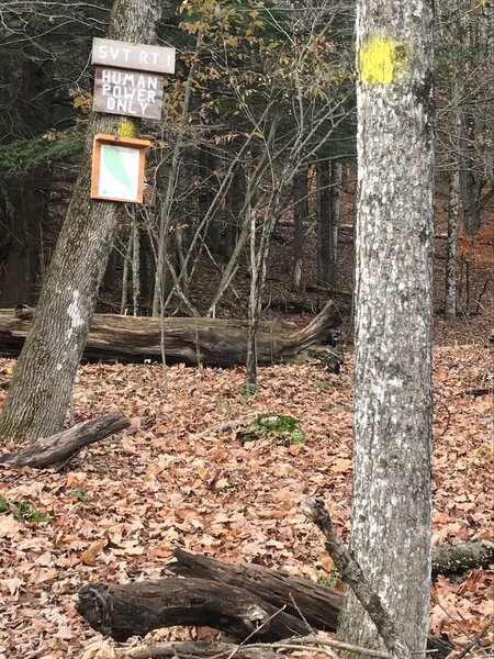 Entrance off of Delaney Cross Road onto SVT Rt 1 trail